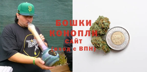 ГАЛЛЮЦИНОГЕННЫЕ ГРИБЫ Аркадак