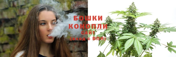 ГАЛЛЮЦИНОГЕННЫЕ ГРИБЫ Аркадак