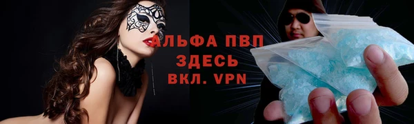 ГАЛЛЮЦИНОГЕННЫЕ ГРИБЫ Аркадак