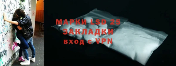 ГАЛЛЮЦИНОГЕННЫЕ ГРИБЫ Аркадак