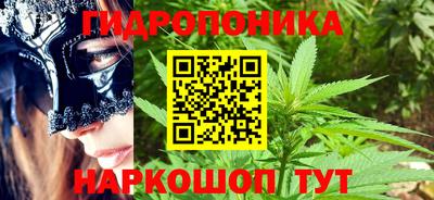 стаф Шелехов