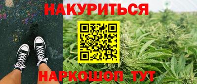 стаф Шелехов