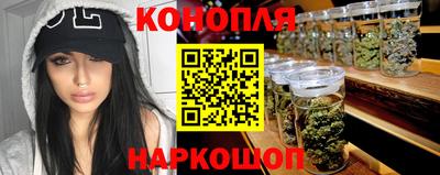 стаф Шелехов