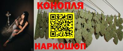 стаф Шелехов