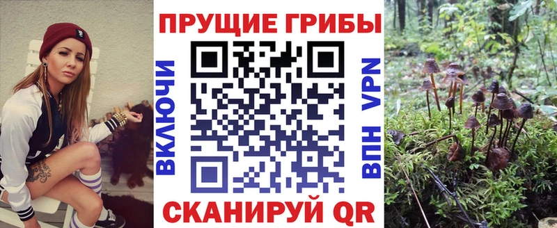 купить наркоту  Обнинск  Галлюциногенные грибы MAGIC MUSHROOMS 